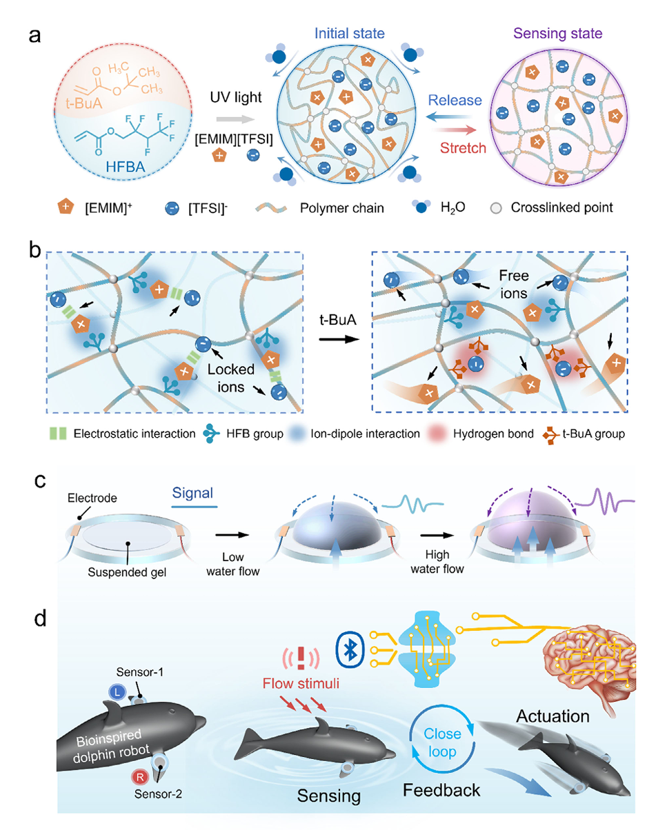 超分子耦合增強型離子皮膚用于水下傳感與機器人_離子液體應(yīng)用【默尼離子液體】